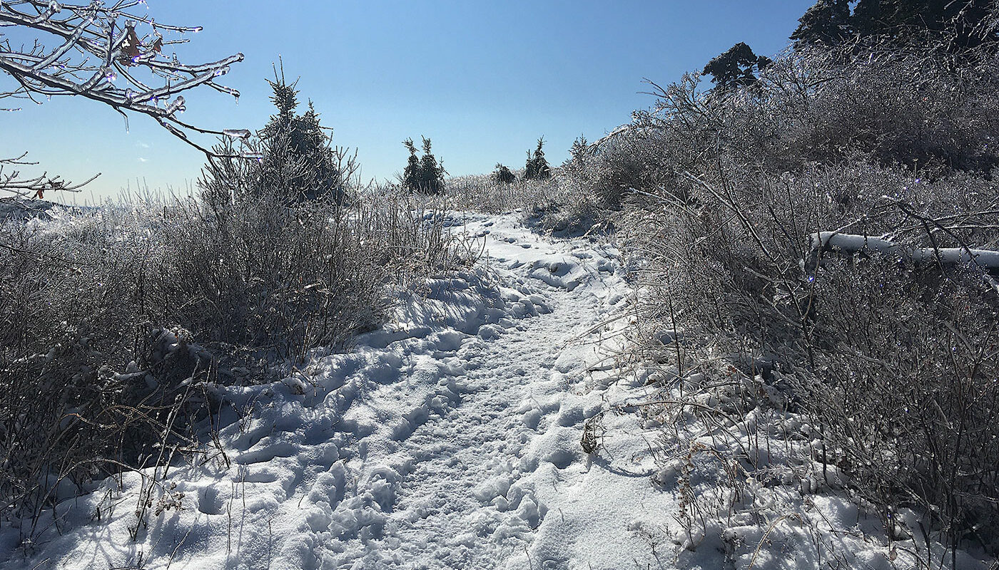 Beech Hill trail