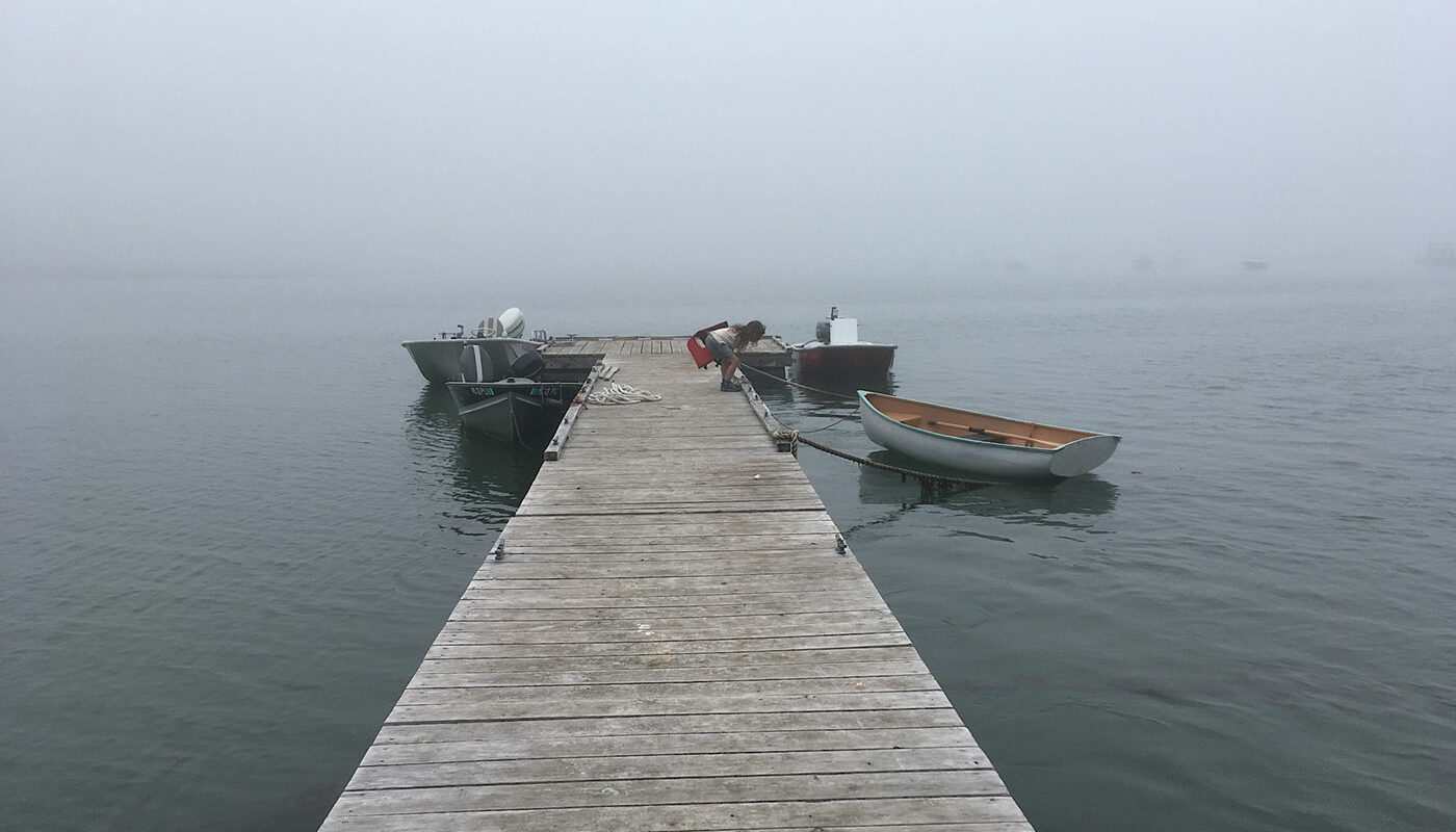 foggy view from boat dock