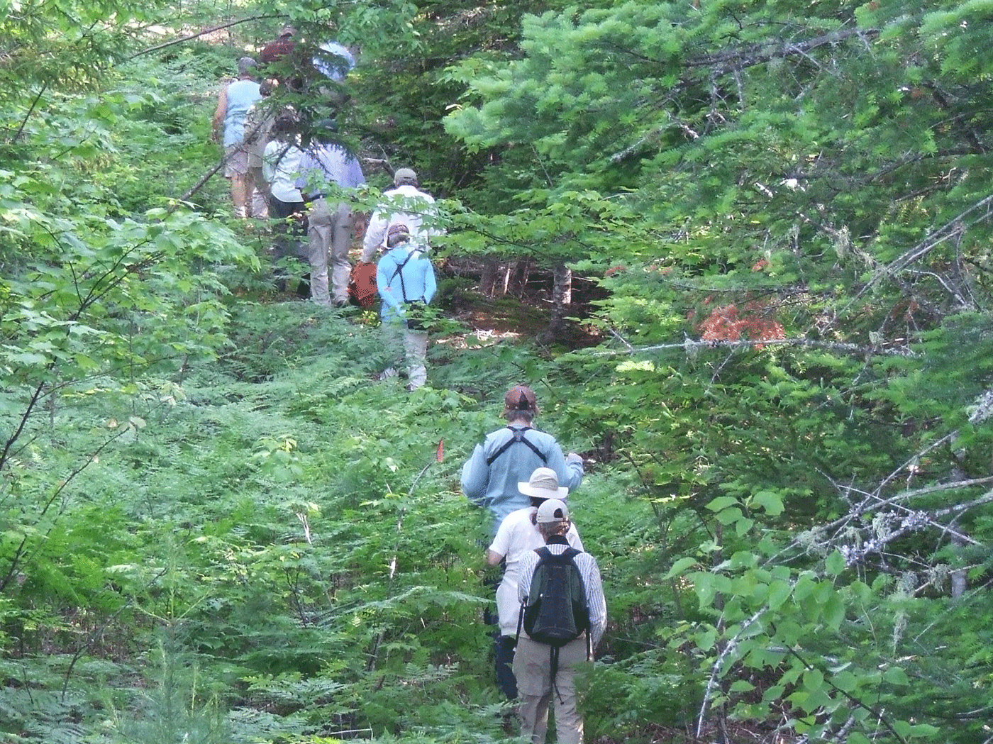 river on KWW National Monument