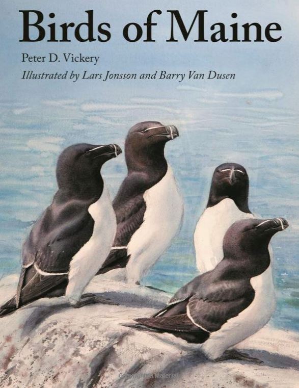 Birds of Maine book cover