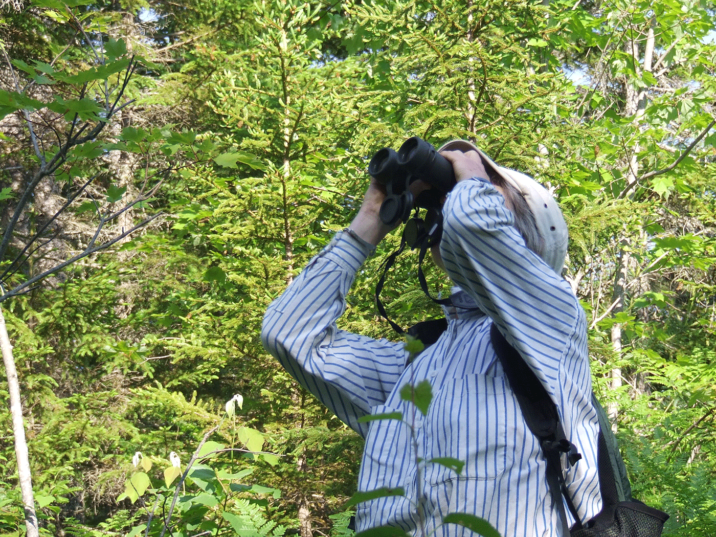 birder