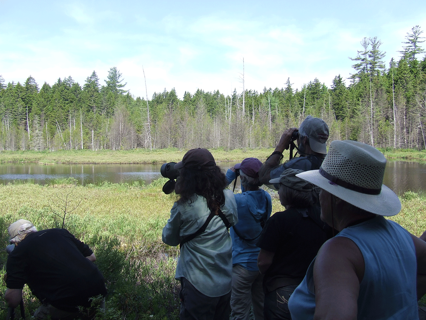 looking for birds on NP lands