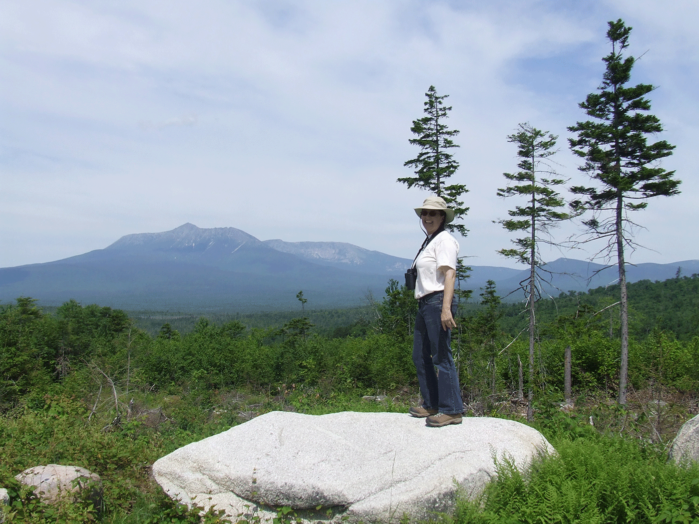 view from Loop Road