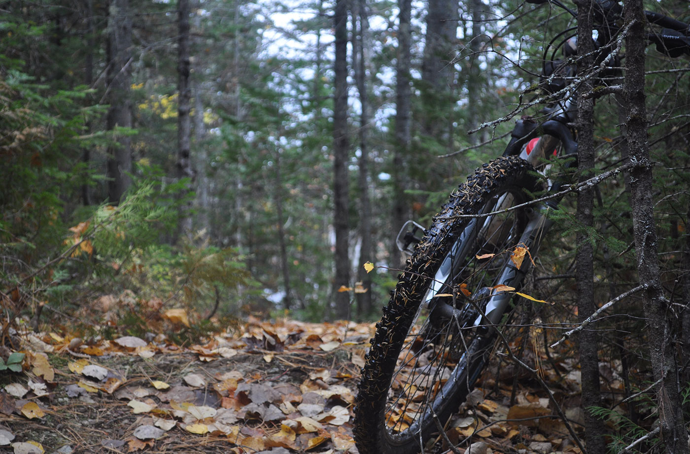 mountain bike on wooded path