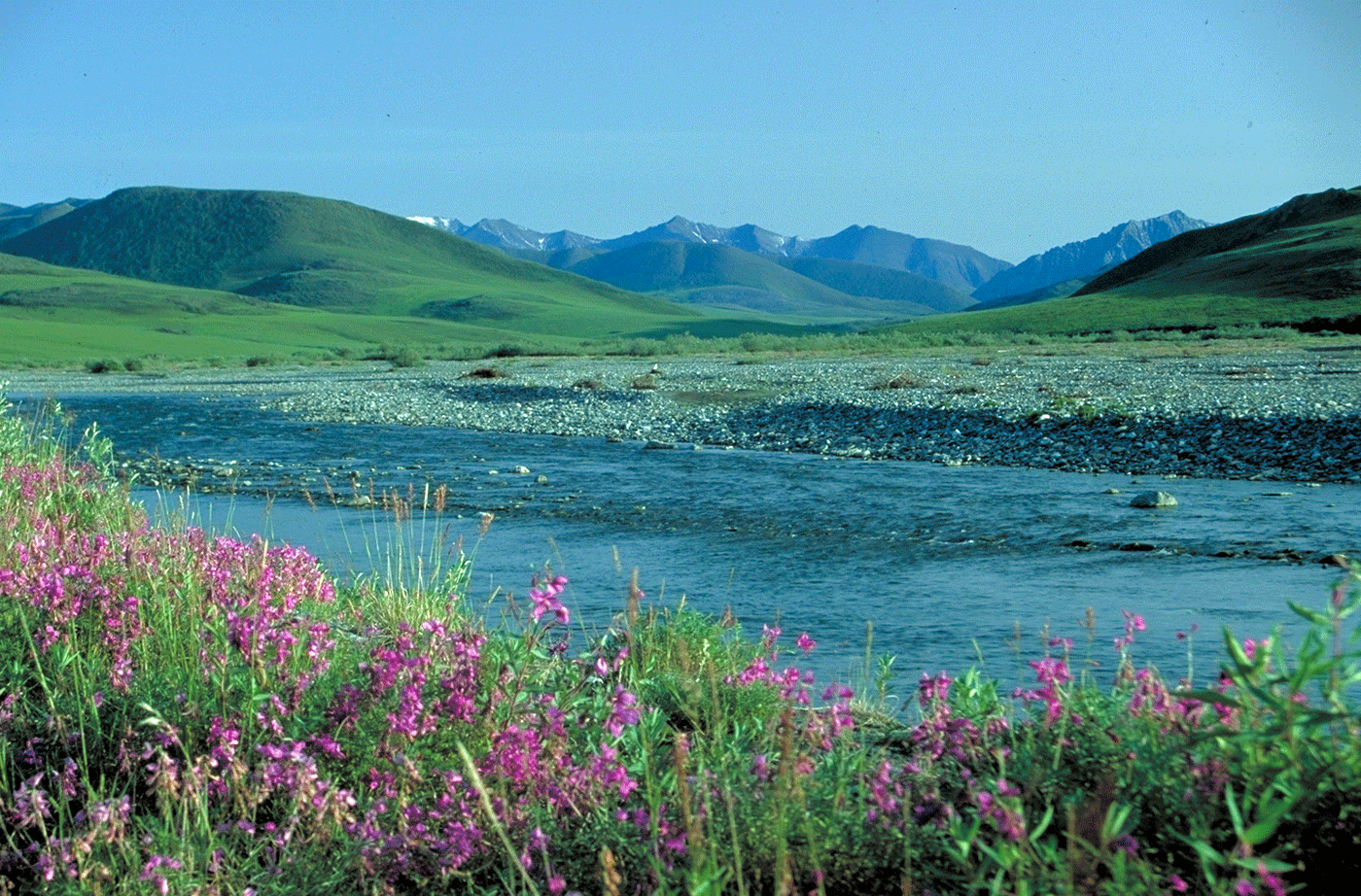 Arctic National Wildlife Refuge