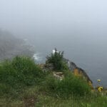 foggy coastal Maine shot on Monhegan
