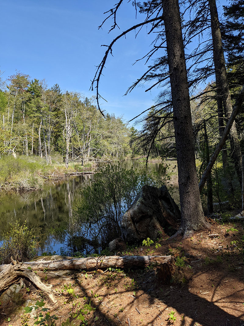 Crooked Farm Preserve