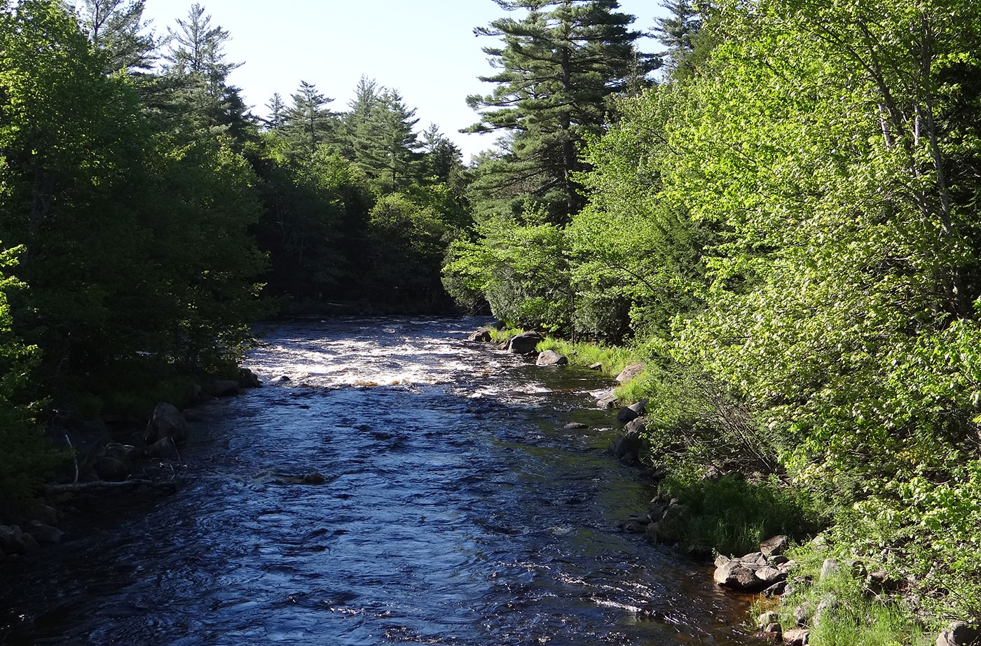 Machias River Preserve