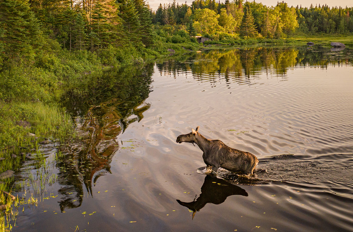 Moose Creek RV Resort - Visit Maine