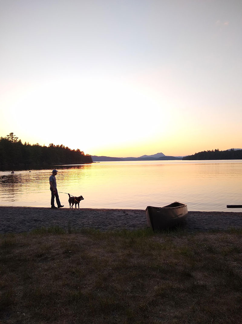 walking a dog at sunset