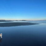 dog on Popham Beach