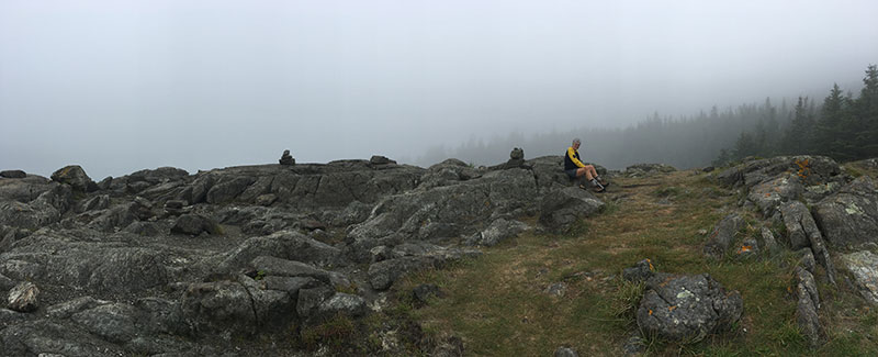 foggy coastal Maine