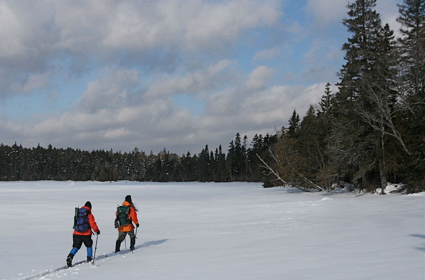 cross country skiiers