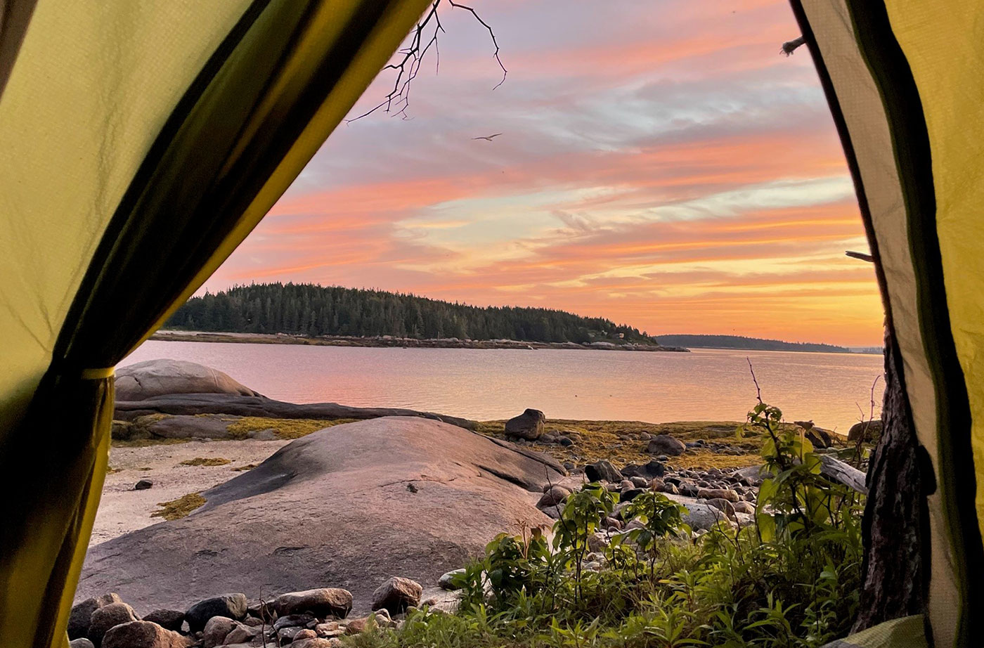 view from the tent