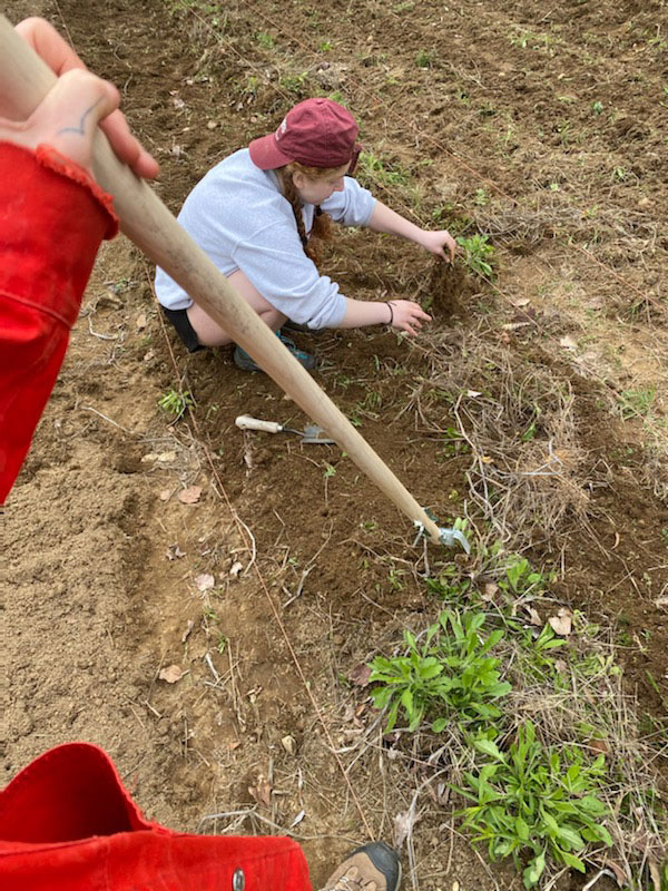 farming in Greene