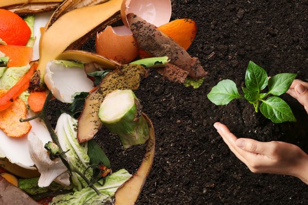 composting composting