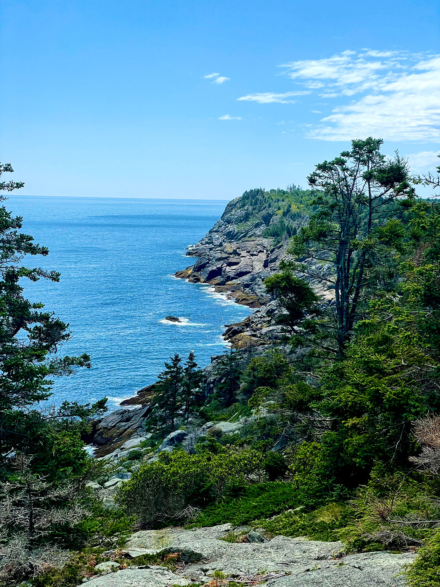 rocky Maine coast with trees