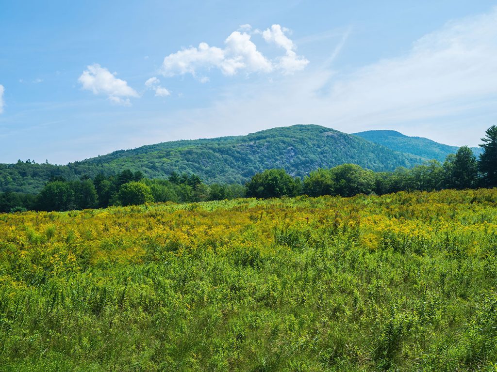 Fernalds Nature Preserve