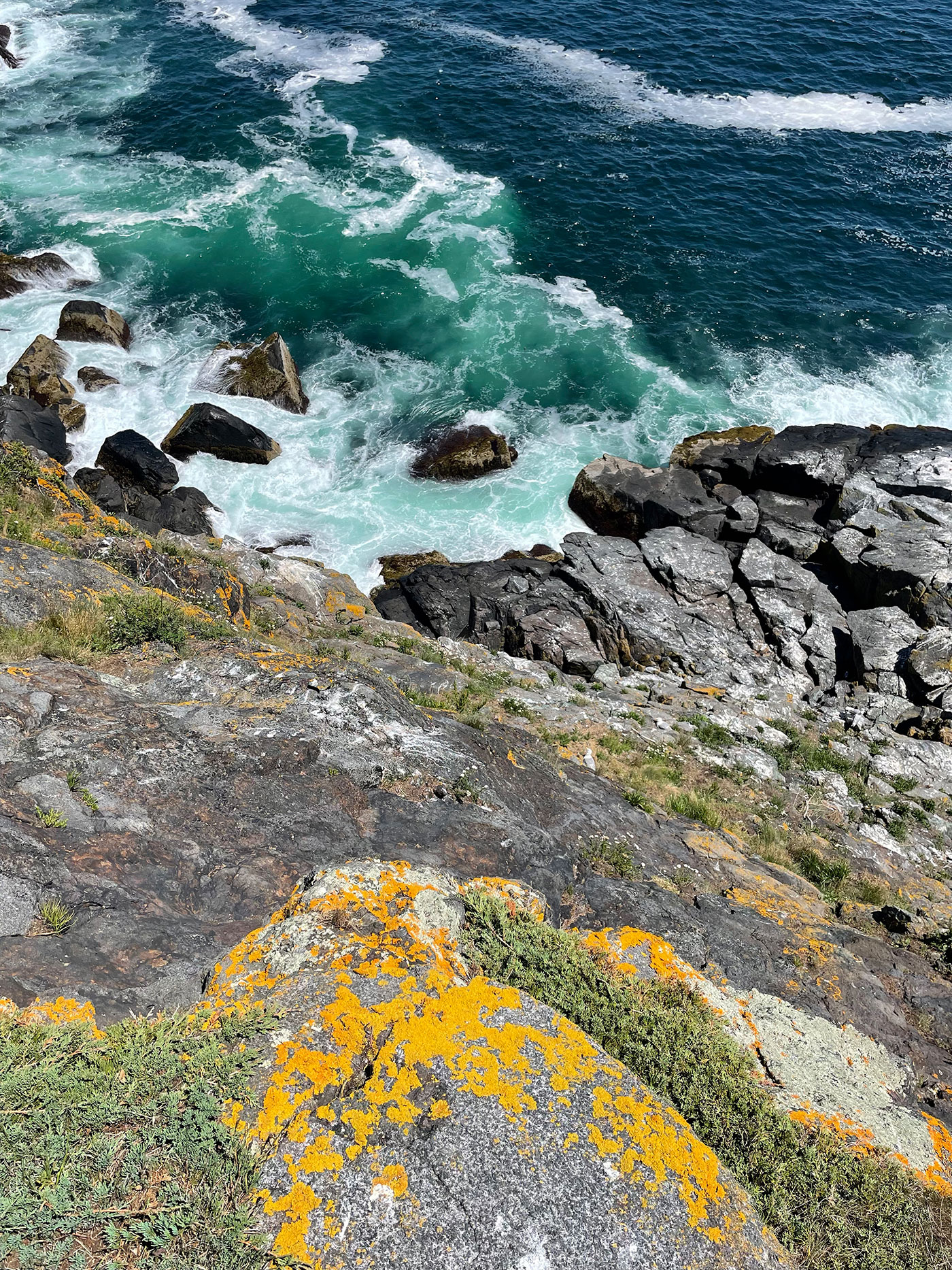 view of ocean from Monhegan