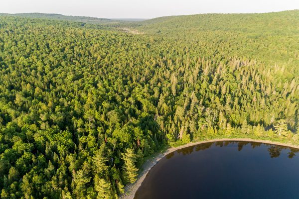 shoreline of Square Lake in Aroostook County