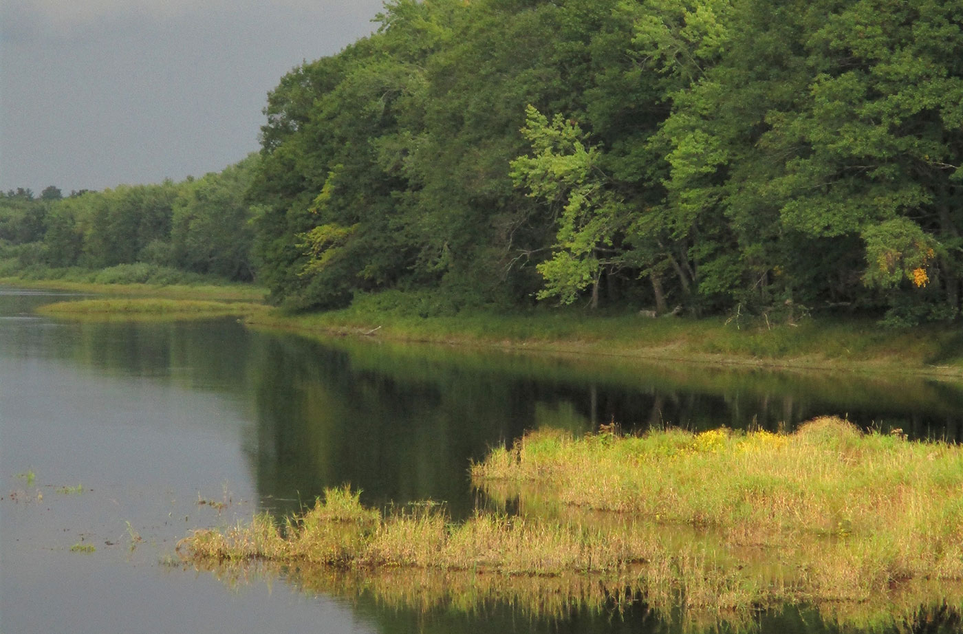 Penobscot River island