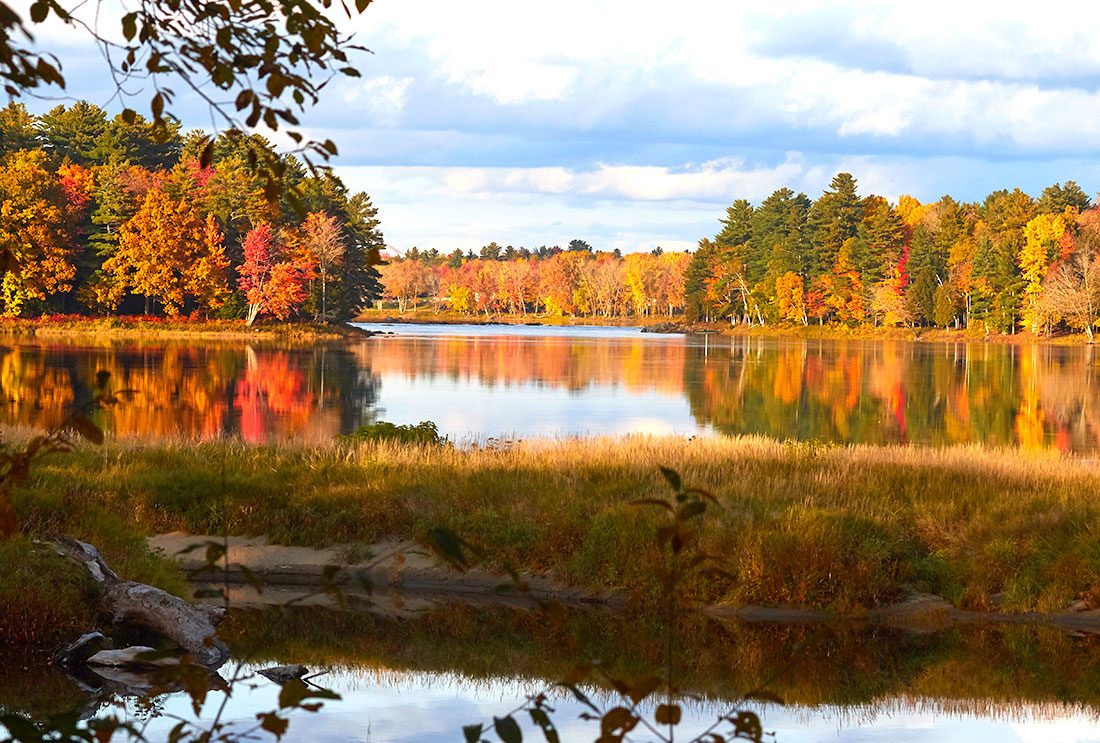 Fall foliage along Penobscot River