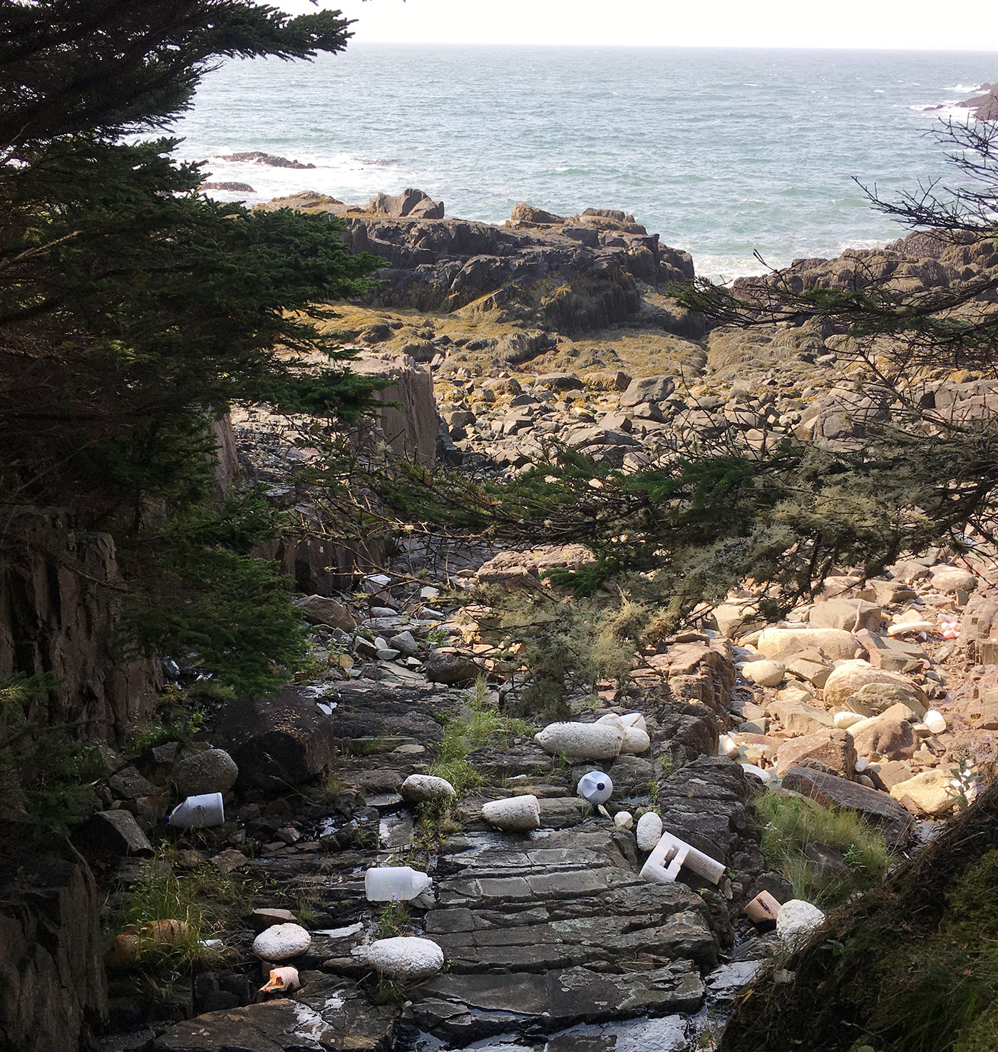 Cutler-coast Cutler coast