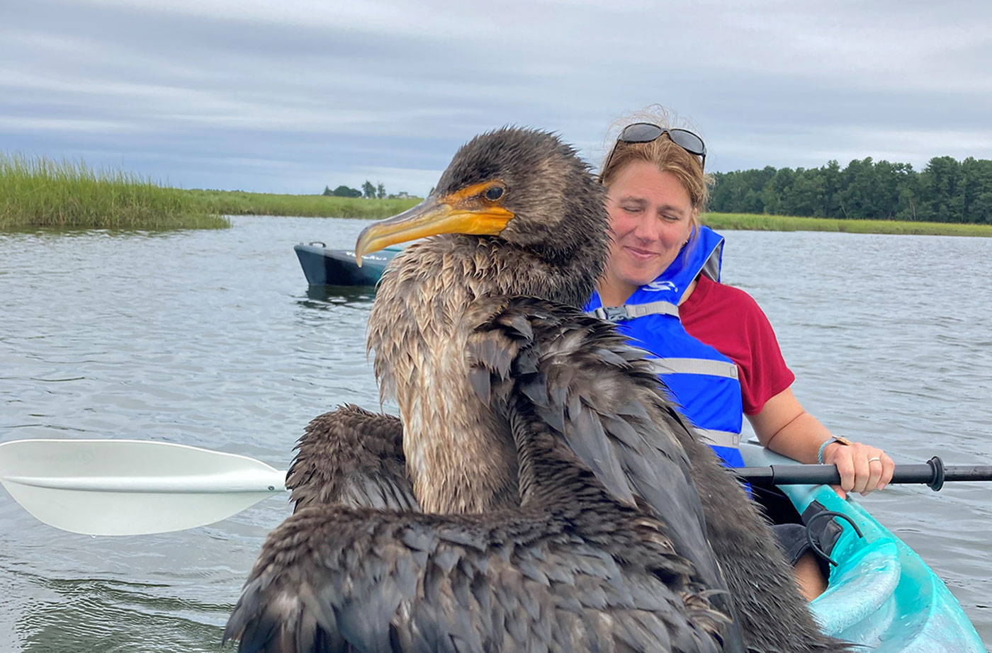 cormorant on kayak