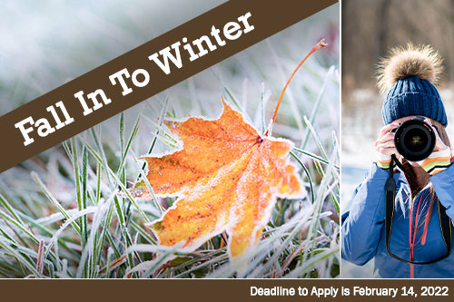 fall winter photo contest graphic