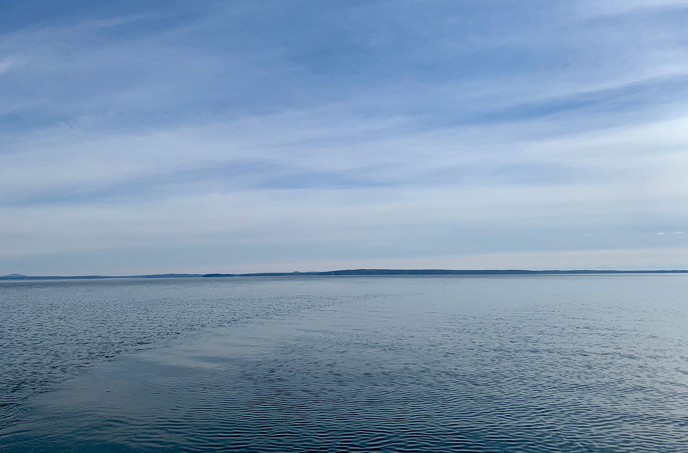 calm Belfast Bay