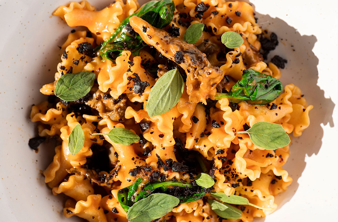 plate of pasta from Leeward Restaurant