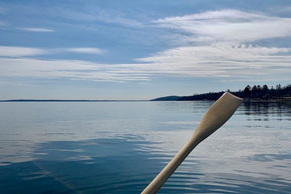 rowing Belfast Bay