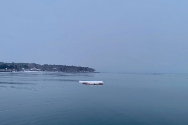 belfast-bay-dory-woman-rowing