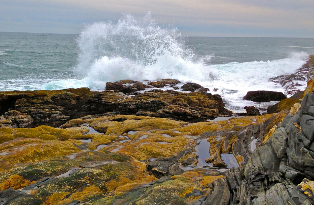 waves crashing on shore