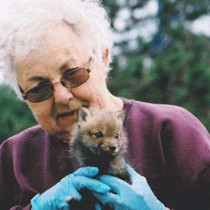 Carleen Cote holding baby fox