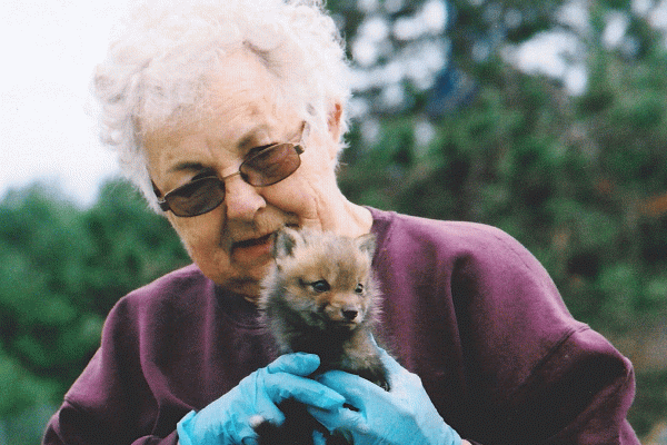 Carleen Cote holding baby fox