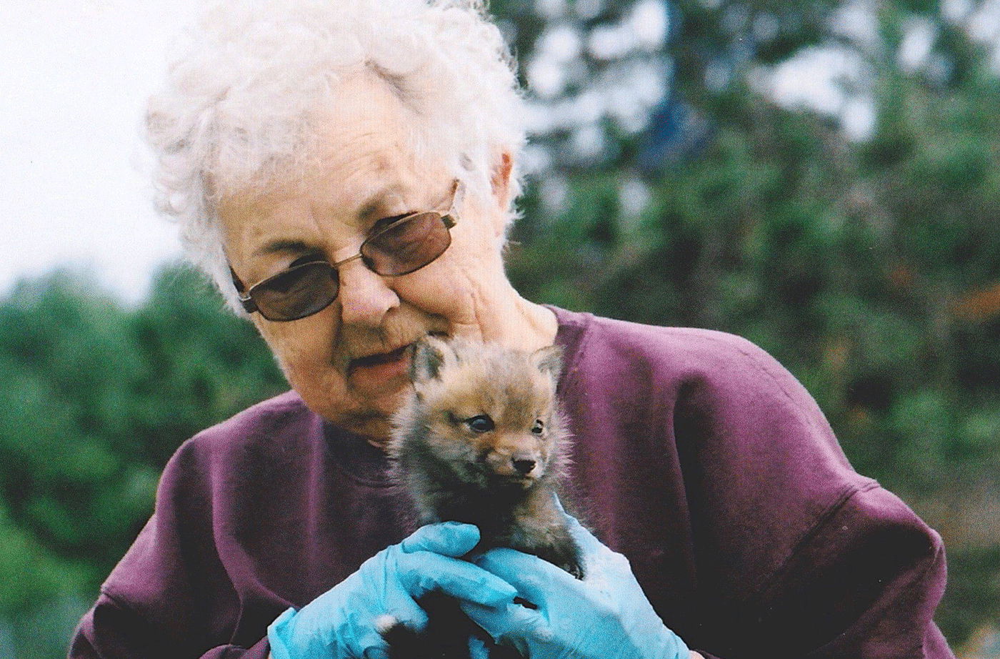 Carleen Cote holding baby fox