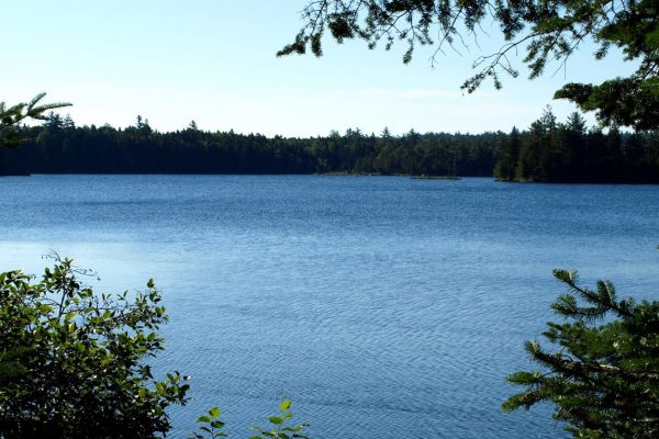 Long Lake, Princeton