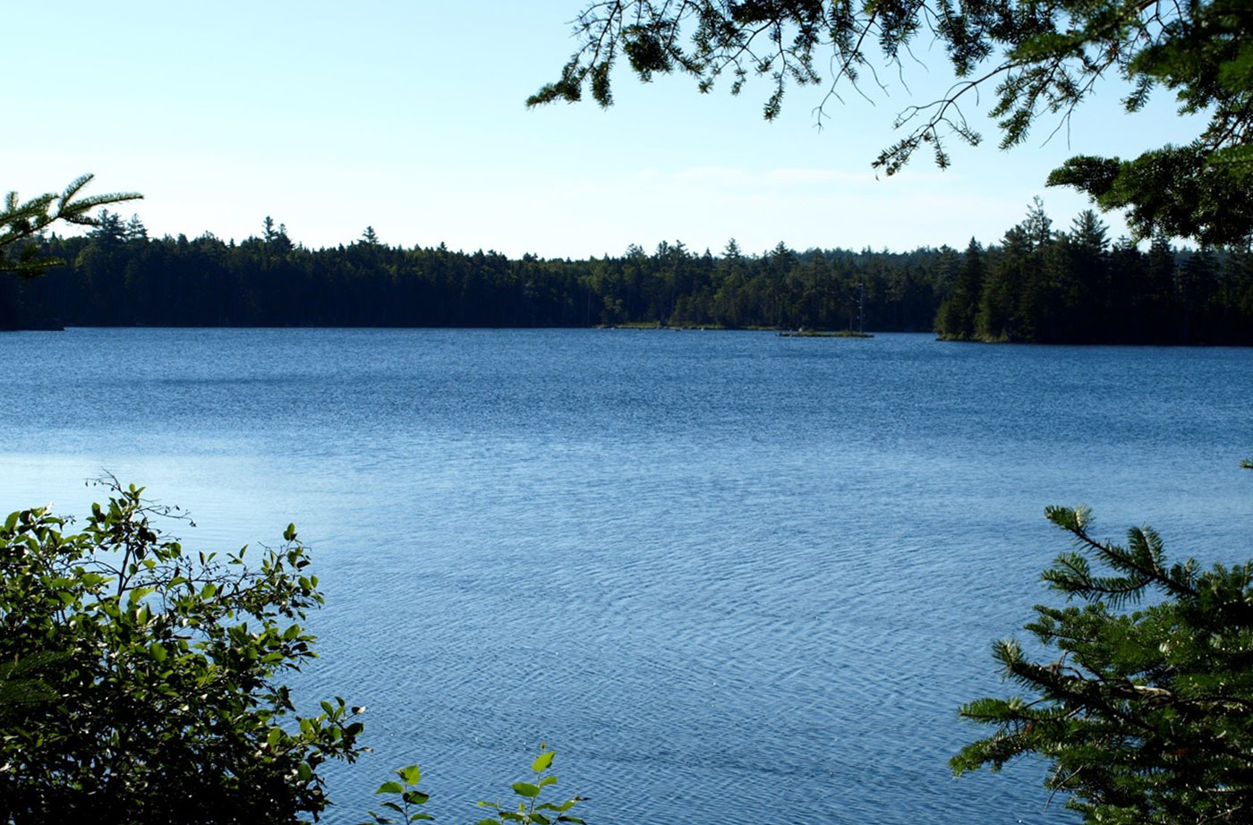 Long Lake, Princeton