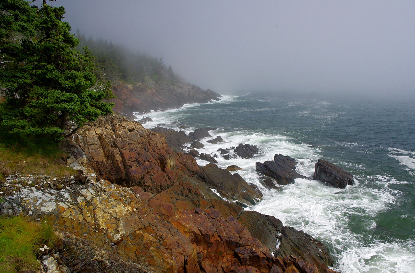 Ocean waves and rocky coast