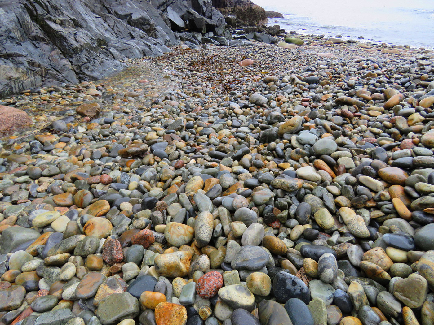 rocks on beach in Bar Harbor