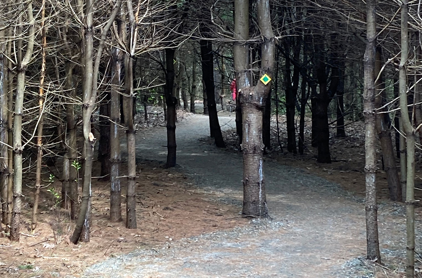 Hope Cemetery & Woods trail