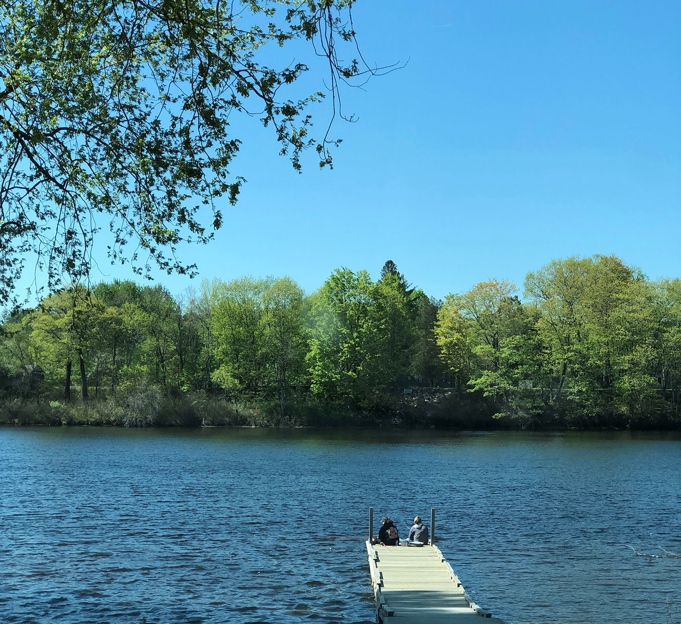 fishing in Norridgewock on Kennebec River