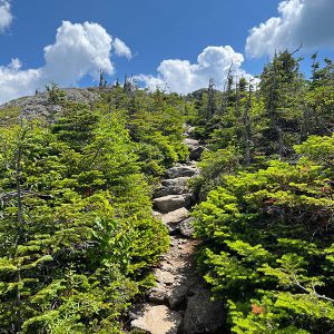 Stairs up Avery Peak