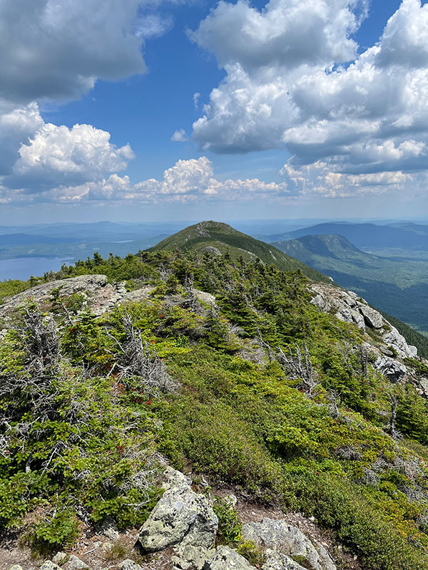 Avery Peak from West Peak