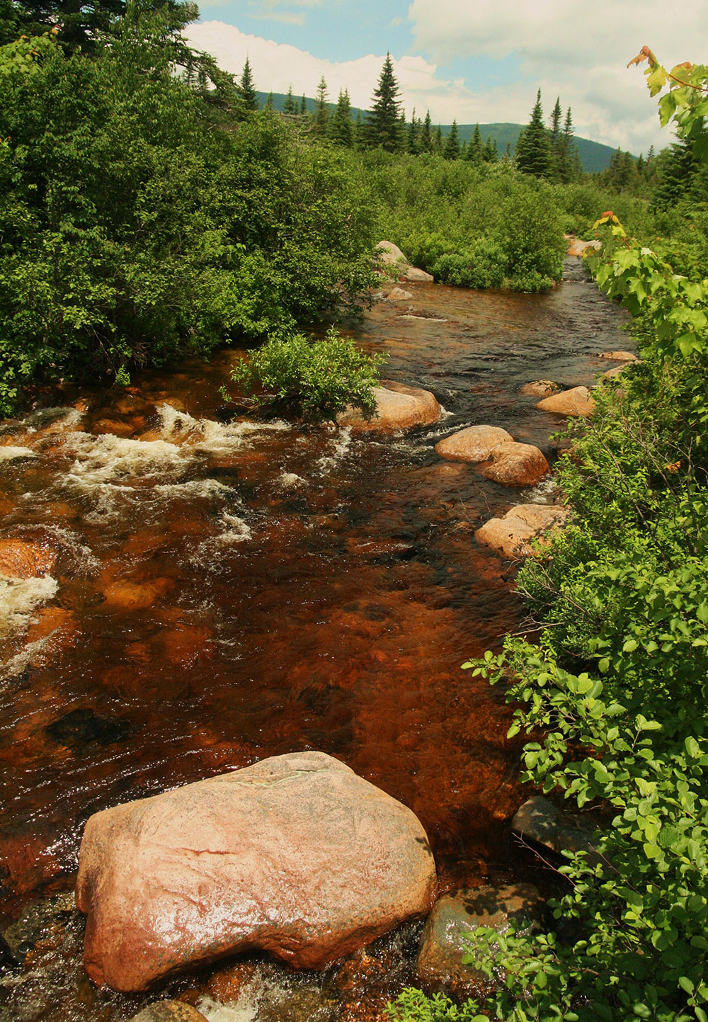 Sandy Stream