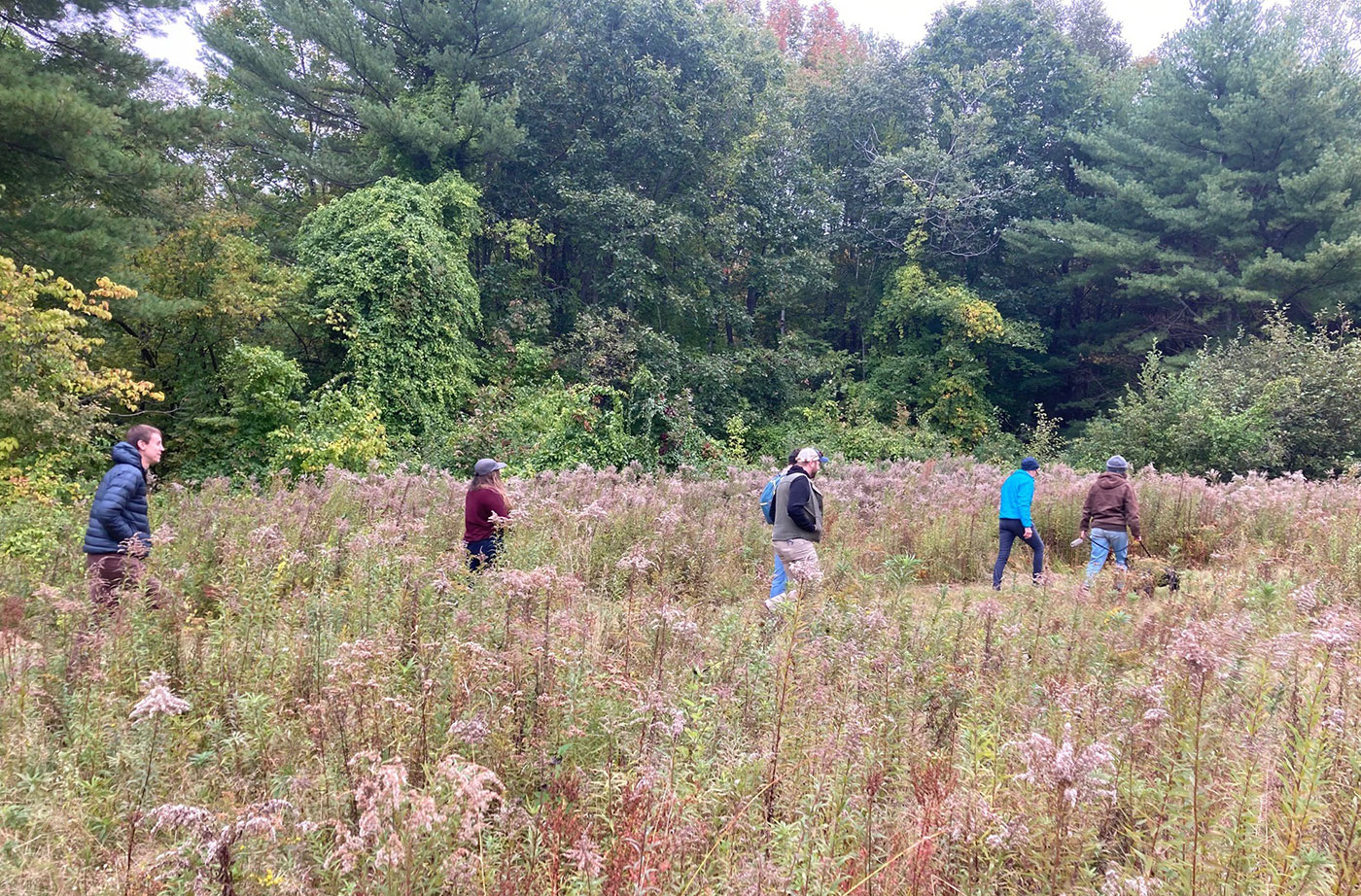 walking through field