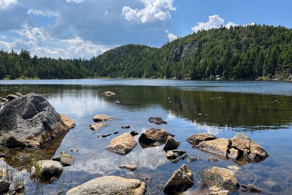 Horn Pond