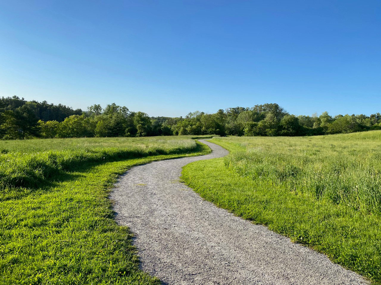 accessible trail through field