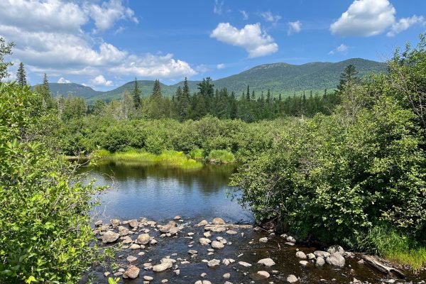 Stratton Brook